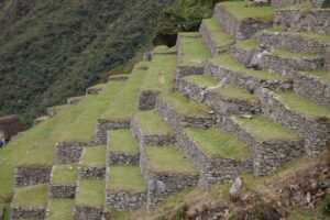 machu picchu img 6663