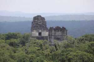 tikal img 2008